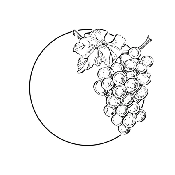 Hand Drawn Grape Floral Logo Frame Border Promo Element Brand — Vector de stock