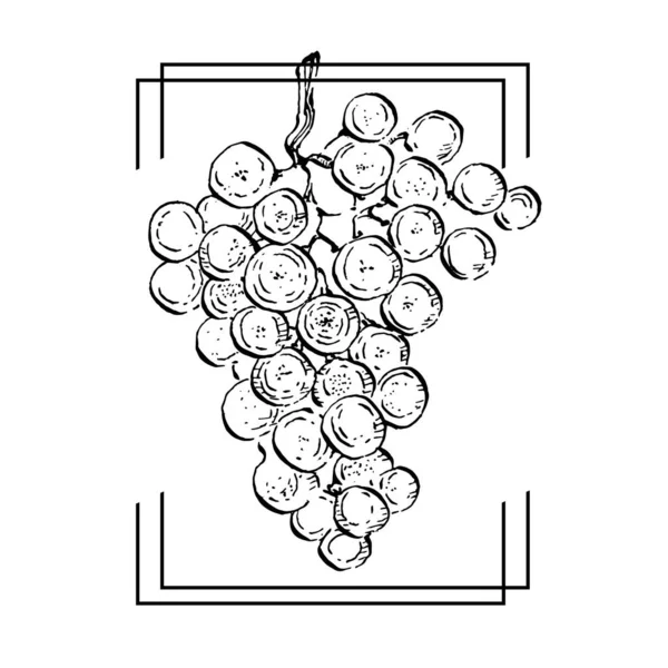 Hand Drawn Grape Floral Logo Frame Border Promo Element Brand — Vector de stock
