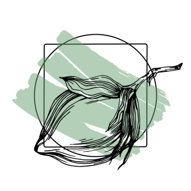 El yapımı pamuklu çiçek logosu, çerçeve, sınır, tanıtım elementi. Damga şablonu. Minimalist monogram. Rustik zarif marka veya logottip arkaplan.