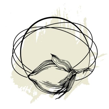 El yapımı pamuklu çiçek logosu, çerçeve, sınır, tanıtım elementi. Damga şablonu. Minimalist monogram. Rustik zarif marka veya logottip arkaplan.