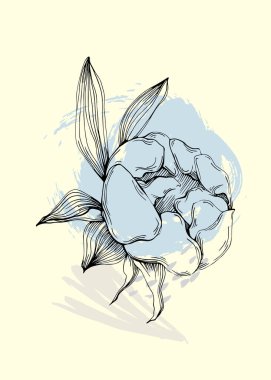 Şakayık botanik duvar sanatı. Şakayıklar soyut şekilli çizim çizerler. Baskı, kapak, duvar kağıdı, asgari ve doğal duvar sanatı için soyut bitki sanatı tasarımı.