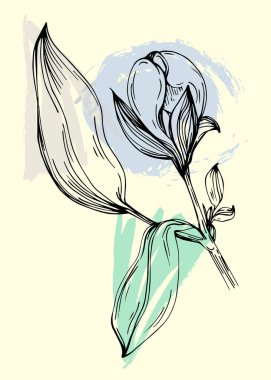 Şakayık botanik duvar sanatı. Şakayıklar soyut şekilli çizim çizerler. Baskı, kapak, duvar kağıdı, asgari ve doğal duvar sanatı için soyut bitki sanatı tasarımı.