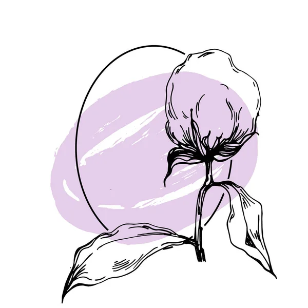 Ручний Намальований Бавовняний Квітковий Логотип Рамка Бордюр Промо Елемент Шаблон — стоковий вектор