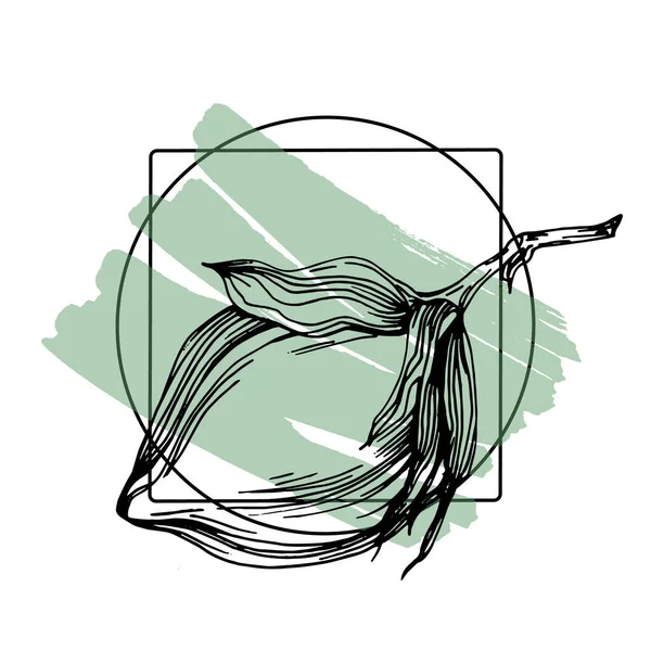 El yapımı pamuklu çiçek logosu, çerçeve, sınır, tanıtım elementi. Damga şablonu. Minimalist monogram. Rustik zarif marka veya logottip arkaplan.