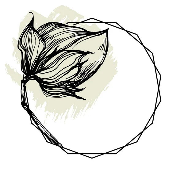 El yapımı pamuklu çiçek logosu, çerçeve, sınır, tanıtım elementi. Damga şablonu. Minimalist monogram. Rustik zarif marka veya logottip arkaplan.