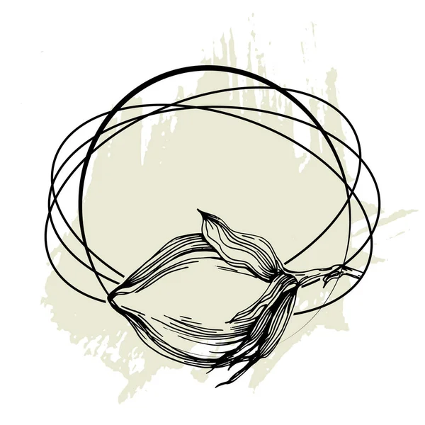 El yapımı pamuklu çiçek logosu, çerçeve, sınır, tanıtım elementi. Damga şablonu. Minimalist monogram. Rustik zarif marka veya logottip arkaplan.