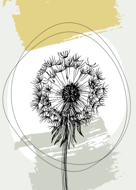 Hand drawn Dandelion Isolated botanical flower, leaves. Black and white engraved sketch ink art. Leaf plant botanical garden floral foliage. Wildflower drawing leaf illustration element. Sketch drawing