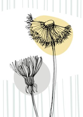 Hand drawn Dandelion Isolated botanical flower, leaves. Black and white engraved sketch ink art. Leaf plant botanical garden floral foliage. Wildflower drawing leaf illustration element. Sketch drawing