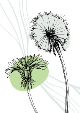 Hand drawn Dandelion Isolated botanical flower, leaves. Black and white engraved sketch ink art. Leaf plant botanical garden floral foliage. Wildflower drawing leaf illustration element. Sketch drawing