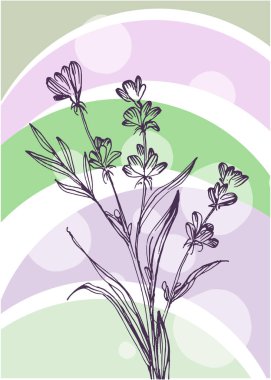 Duvar Dekorasyonu, Kartpostal, Sosyal Medya Afişi, Broşür Kapak Tasarımı için Lavanta El Boyalı Resimler. Modern Soyut Boyama Sanatı. Vektör Deseni