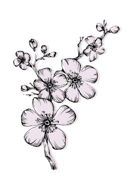 Sakura Abstract Hand Painted Illustrations for Wall Decoration, Postcard, Social Media Banner, Brochure Cover Design Background. Modern Abstract Painting Artwork. Vector Pattern