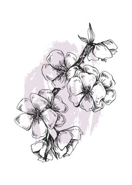 Sakura Abstract Hand Painted Illustrations for Wall Decoration, Postcard, Social Media Banner, Brochure Cover Design Background. Modern Abstract Painting Artwork. Vector Pattern