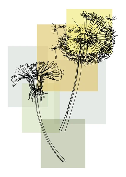 Hand Drawn Dandelion Isolated Botanical Flower Leaves Black White Engraved — Stockový vektor