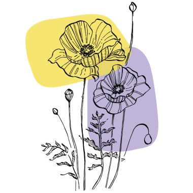 Modern sanat gelinciklerinin moda renkli posterleri. Soyut el çiçekleri, geometrik elementleri ve dokunuşları, yaprakları ve çiçekleri çiziyor. Sosyal medya için modern tasarım, davetiye, kartpostallar, duvar sanatı için baskı.