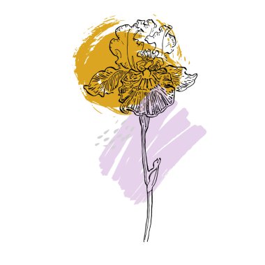 Sosyal medya platformu için arka planlar, hikayeler, soyut şekilli afişler, meyveler, yapraklar. Sosyal ağlarınız, kişisel günlüğünüz ve dükkanınız için görsel tasarım.