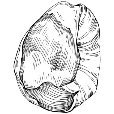 Pistachio hand-drawn Vector Illustration isolated on white background. Retro style farm product for restaurant menu, market label, logo, emblem and kitchen design. Decoration for food