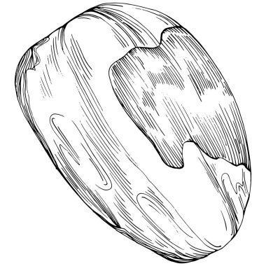 Pistachio hand-drawn Vector Illustration isolated on white background. Retro style farm product for restaurant menu, market label, logo, emblem and kitchen design. Decoration for food