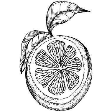 Lemon beyaz arka planda izole edilmiş. Organik yağ oymalı taslak. Güzellik ve kaplıca, kozmetik malzeme. Etiket, poster, broşür, ambalaj için harika