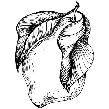 Lemon beyaz arka planda izole edilmiş. Organik yağ oymalı taslak. Güzellik ve kaplıca, kozmetik malzeme. Etiket, poster, broşür, ambalaj için harika