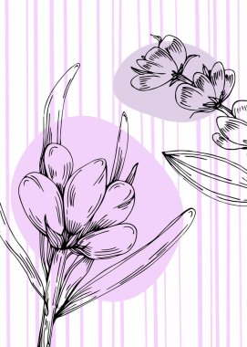 Soyut Lavanta El Boyalı Duvar Dekorasyonu için İllüstrasyonlar, skeç tarzında minimalist çiçek. Kartpostal, Sosyal Medya Sancağı, Broşür Kapağı Tasarım Arkaplanı. Modern Soyut Resim Sanatı.