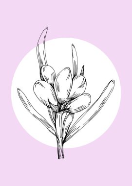 Soyut Lavanta El Boyalı Duvar Dekorasyonu için İllüstrasyonlar, skeç tarzında minimalist çiçek. Kartpostal, Sosyal Medya Sancağı, Broşür Kapağı Tasarım Arkaplanı. Modern Soyut Resim Sanatı.