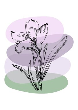 Soyut Lavanta El Boyalı Duvar Dekorasyonu için İllüstrasyonlar, skeç tarzında minimalist çiçek. Kartpostal, Sosyal Medya Sancağı, Broşür Kapağı Tasarım Arkaplanı. Modern Soyut Resim Sanatı.