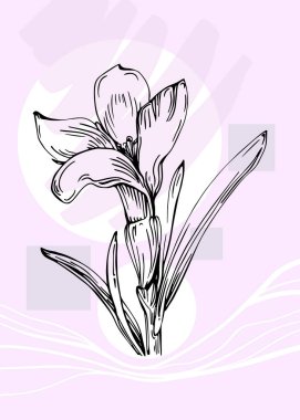 Soyut Lavanta El Boyalı Duvar Dekorasyonu için İllüstrasyonlar, skeç tarzında minimalist çiçek. Kartpostal, Sosyal Medya Sancağı, Broşür Kapağı Tasarım Arkaplanı. Modern Soyut Resim Sanatı.