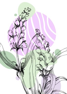 Soyut Lavanta El Boyalı Duvar Dekorasyonu için İllüstrasyonlar, skeç tarzında minimalist çiçek. Kartpostal, Sosyal Medya Sancağı, Broşür Kapağı Tasarım Arkaplanı. Modern Soyut Resim Sanatı.