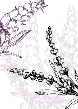 Soyut Lavanta El Boyalı Duvar Dekorasyonu için İllüstrasyonlar, skeç tarzında minimalist çiçek. Kartpostal, Sosyal Medya Sancağı, Broşür Kapağı Tasarım Arkaplanı. Modern Soyut Resim Sanatı.