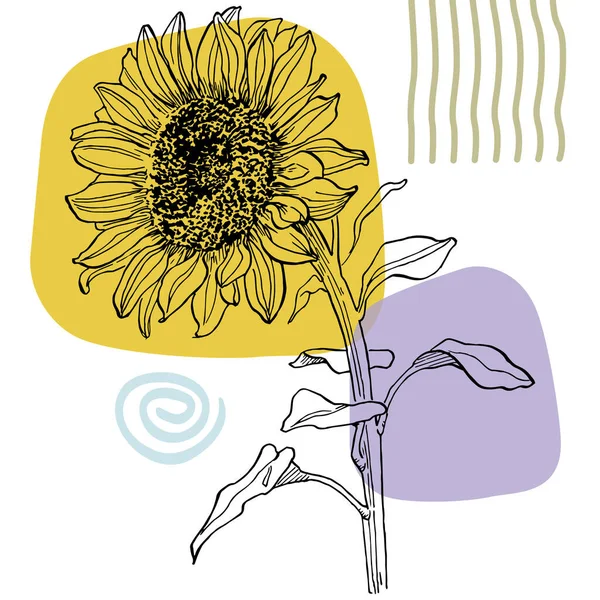 Poster Seni Kontemporer Bunga Matahari Dengan Warna Trendi Tangan Abstrak - Stok Vektor