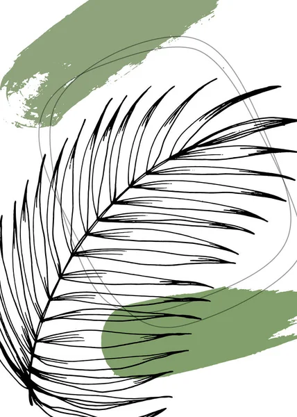 Σύνολο Αφηρημένη Tropics Χέρι Ζωγραφισμένα Palm Εικονογραφήσεις Για Διακόσμηση Τοίχων — Διανυσματικό Αρχείο