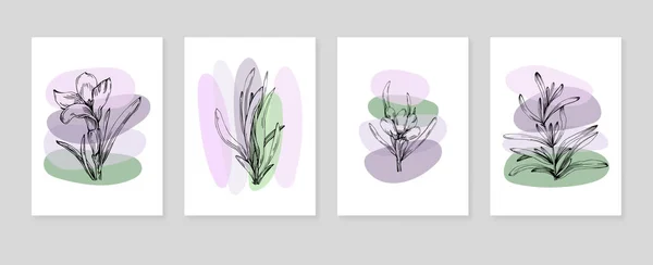 Set Von Abstrakten Lavendel Handgemalten Illustrationen Für Wanddekoration Minimalistische Blume — Stockvektor