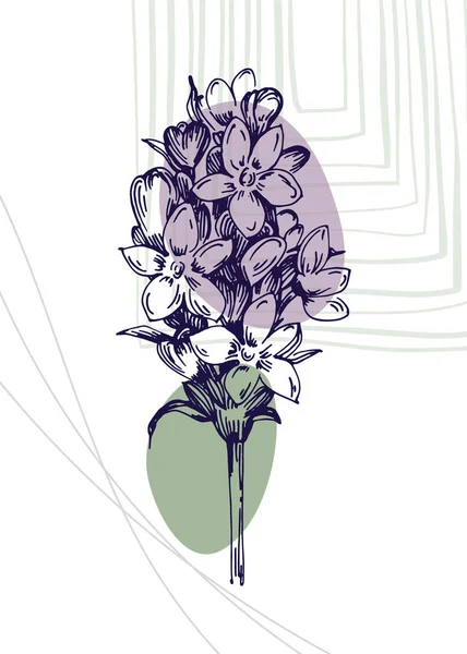Set Von Abstrakten Lavendel Handgemalten Illustrationen Für Wanddekoration Minimalistische Blume — Stockvektor