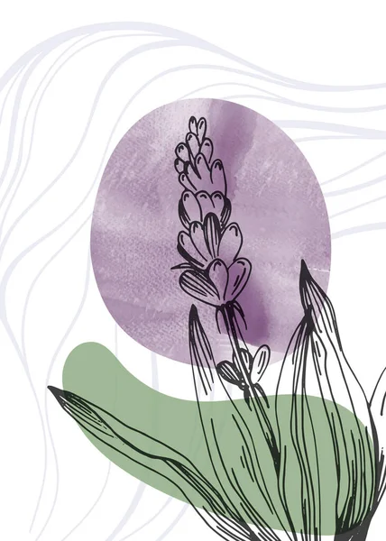 Soyut Lavanta El Boyalı Duvar Dekorasyonu için İllüstrasyonlar, skeç tarzında minimalist çiçek. Kartpostal, Sosyal Medya Sancağı, Broşür Kapağı Tasarım Arkaplanı. Modern Soyut Resim Sanatı.