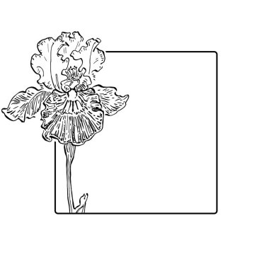 El çizimi irisler çiçek logosu, çerçeve, sınır, tanıtım elementleri. Damga şablonu. Minimalist monogram. Rustik zarif marka veya logottip arkaplan.