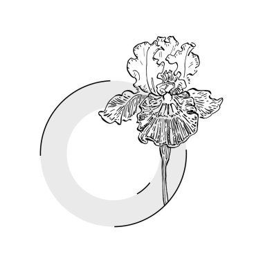 El çizimi irisler çiçek logosu, çerçeve, sınır, tanıtım elementleri. Damga şablonu. Minimalist monogram. Rustik zarif marka veya logottip arkaplan.