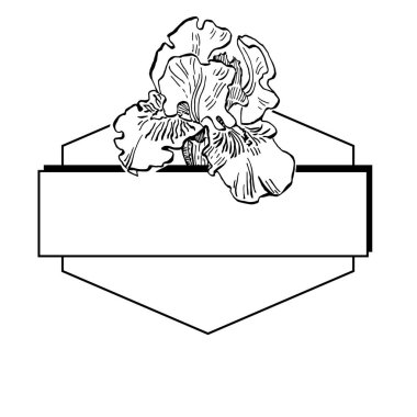 El çizimi irisler çiçek logosu, çerçeve, sınır, tanıtım elementleri. Damga şablonu. Minimalist monogram. Rustik zarif marka veya logottip arkaplan.