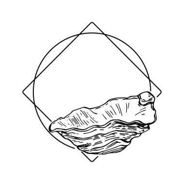 El yapımı deniz kabuğu logosu, çerçeve, sınır, promosyon elemanı. Damga şablonu. Minimalist monogram. Rustik zarif marka veya logottip arkaplan. 