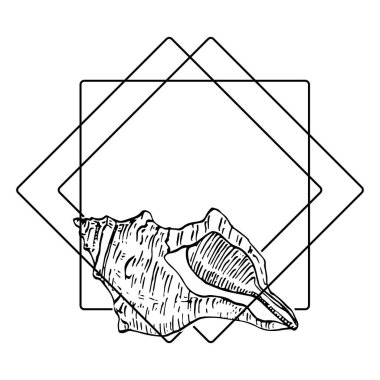 El yapımı deniz kabuğu logosu, çerçeve, sınır, promosyon elemanı. Damga şablonu. Minimalist monogram. Rustik zarif marka veya logottip arkaplan. 