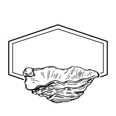 El yapımı deniz kabuğu logosu, çerçeve, sınır, promosyon elemanı. Damga şablonu. Minimalist monogram. Rustik zarif marka veya logottip arkaplan. 