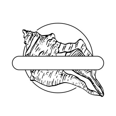 El yapımı deniz kabuğu logosu, çerçeve, sınır, promosyon elemanı. Damga şablonu. Minimalist monogram. Rustik zarif marka veya logottip arkaplan. 