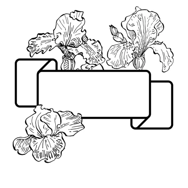 Dessiné Main Iris Logo Floral Cadre Bordure Élément Promo Modèle — Image vectorielle