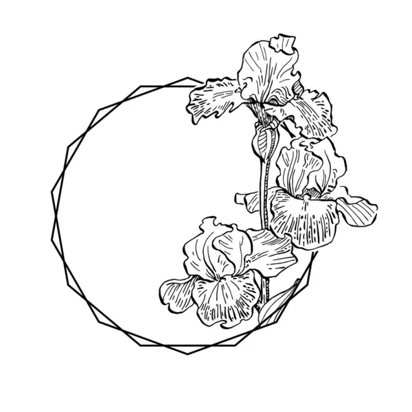 El çizimi irisler çiçek logosu, çerçeve, sınır, tanıtım elementleri. Damga şablonu. Minimalist monogram. Rustik zarif marka veya logottip arkaplan.