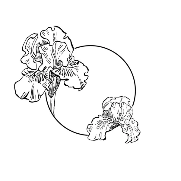 Mão Irises Desenhado Logotipo Floral Quadro Fronteira Elemento Promocional Modelo — Vetor de Stock
