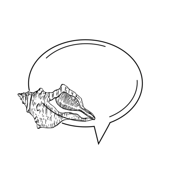 Yapımı Deniz Kabuğu Logosu Çerçeve Sınır Promosyon Elemanı Damga Şablonu — Stok Vektör