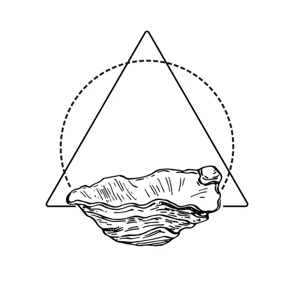 Logotipo Concha Mar Desenhado Mão Quadro Fronteira Elemento Promocional Modelo — Vetor de Stock