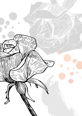 Duvar Dekorasyonu için El Boyalı Resimler, skeç tarzında minimalist çiçek. Kartpostal, Sosyal Medya Sancağı, Broşür Kapağı Tasarım Arkaplanı. Modern Soyut Resim.