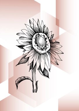 Soyut Ayçiçeği El Boyalı Duvar Dekorasyonu için Çizim Stili Minimalist çiçek seti. Kartpostal, Sosyal Medya Sancağı, Broşür Kapağı Tasarım Arkaplanı. Modern Soyut Resim.