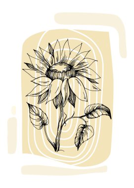 Soyut Ayçiçeği El Boyalı Duvar Dekorasyonu için Çizim Stili Minimalist çiçek seti. Kartpostal, Sosyal Medya Sancağı, Broşür Kapağı Tasarım Arkaplanı. Modern Soyut Resim.