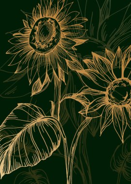 Soyut Ayçiçeği El Boyalı Duvar Dekorasyonu için Çizim Stili Minimalist çiçek seti. Kartpostal, Sosyal Medya Sancağı, Broşür Kapağı Tasarım Arkaplanı. Modern Soyut Resim.